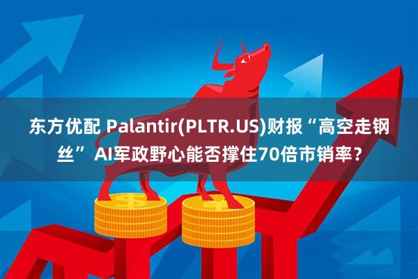 东方优配 Palantir(PLTR.US)财报“高空走钢丝” AI军政野心能否撑住70倍市销率？