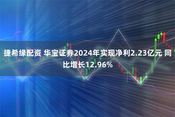 捷希缘配资 华宝证券2024年实现净利2.23亿元 同比增长12.96%